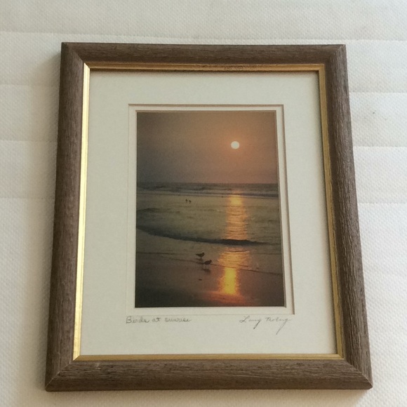 Birds at sunrise signed framed photo - Picture 3 of 7